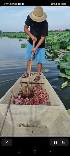 *湘姐*